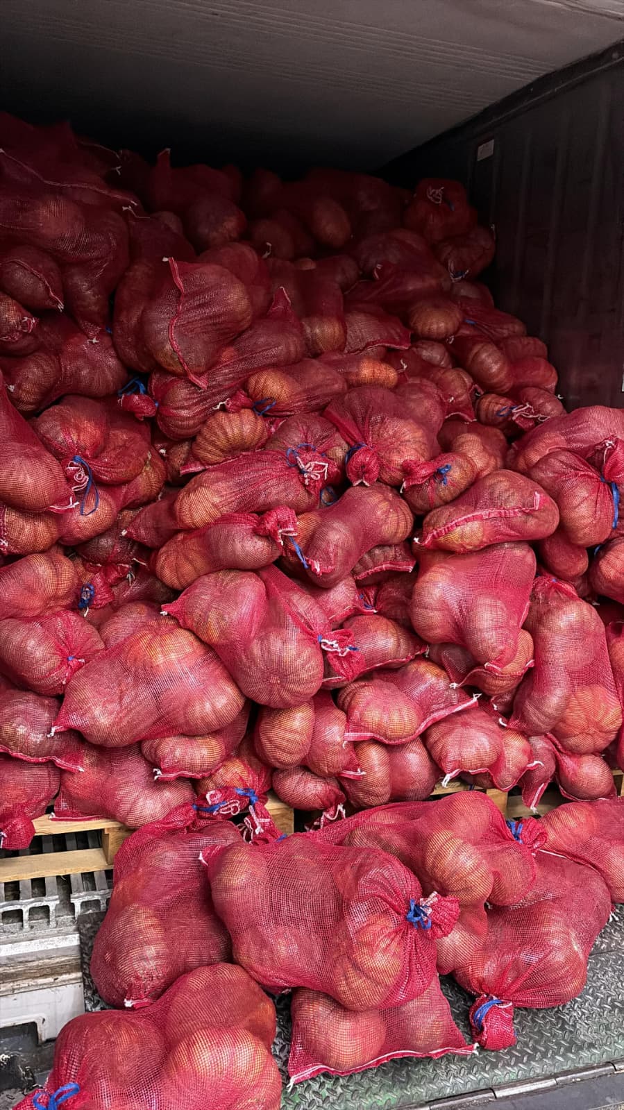 Pumpkins packed for distribution